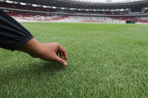 Jelang Indonesia vs Jepang: CCTV dan VAR Sudah Ready, Bagaimana Kondisi Rumput GBK?